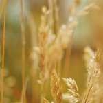 Noticias Jueves 3 de Mayo del 2018