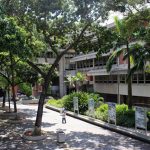 El Instituto Autónomo Biblioteca Nacional y de Servicios de Bibliotecas cumple 44 años