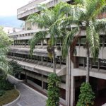 Biblioteca Nacional sigue la ruta digital